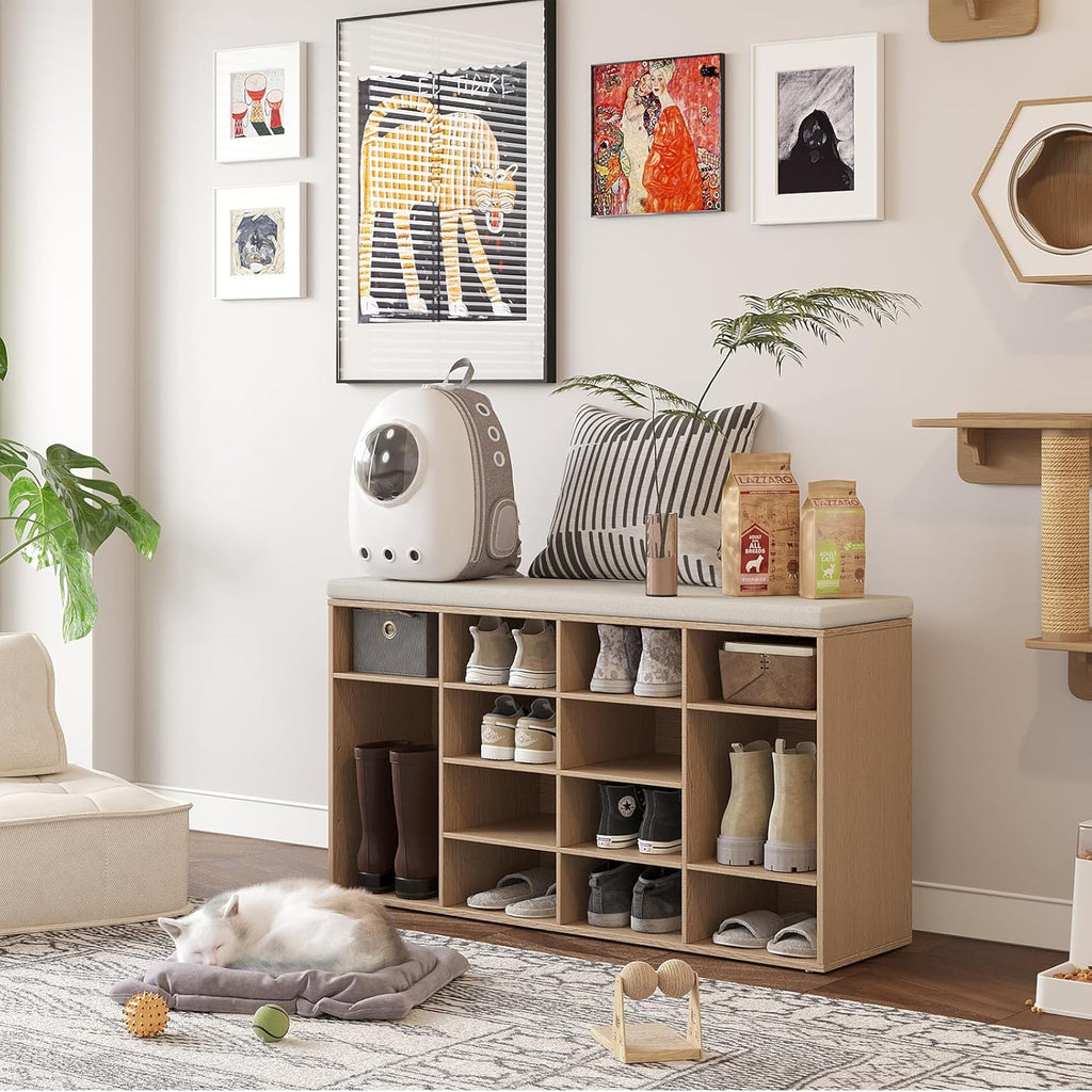 Cushioned Cubby Shoe Storage Bench